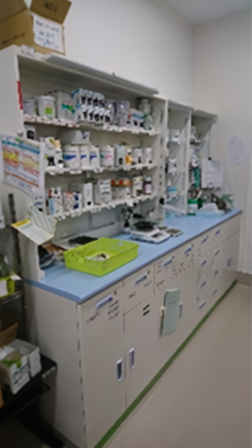 Anti-Seismic Restraint Strap for medicine storage