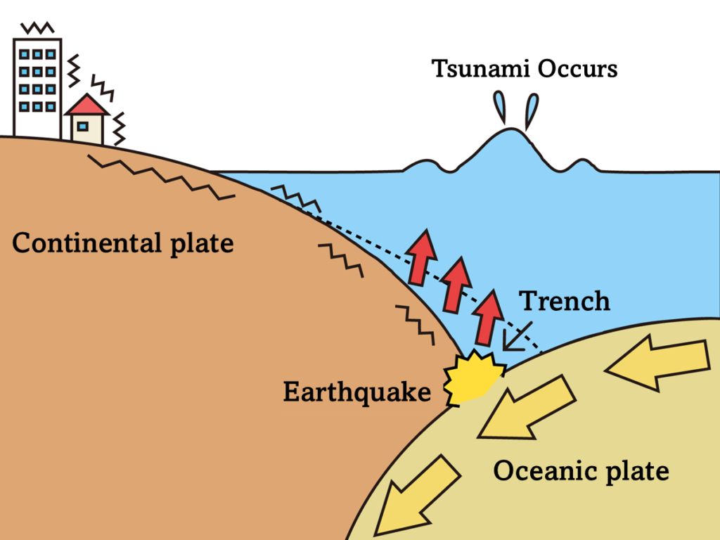 Tsunamis are most commonly caused by large undersea earthquakes that suddenly displace vast amounts of seawater.