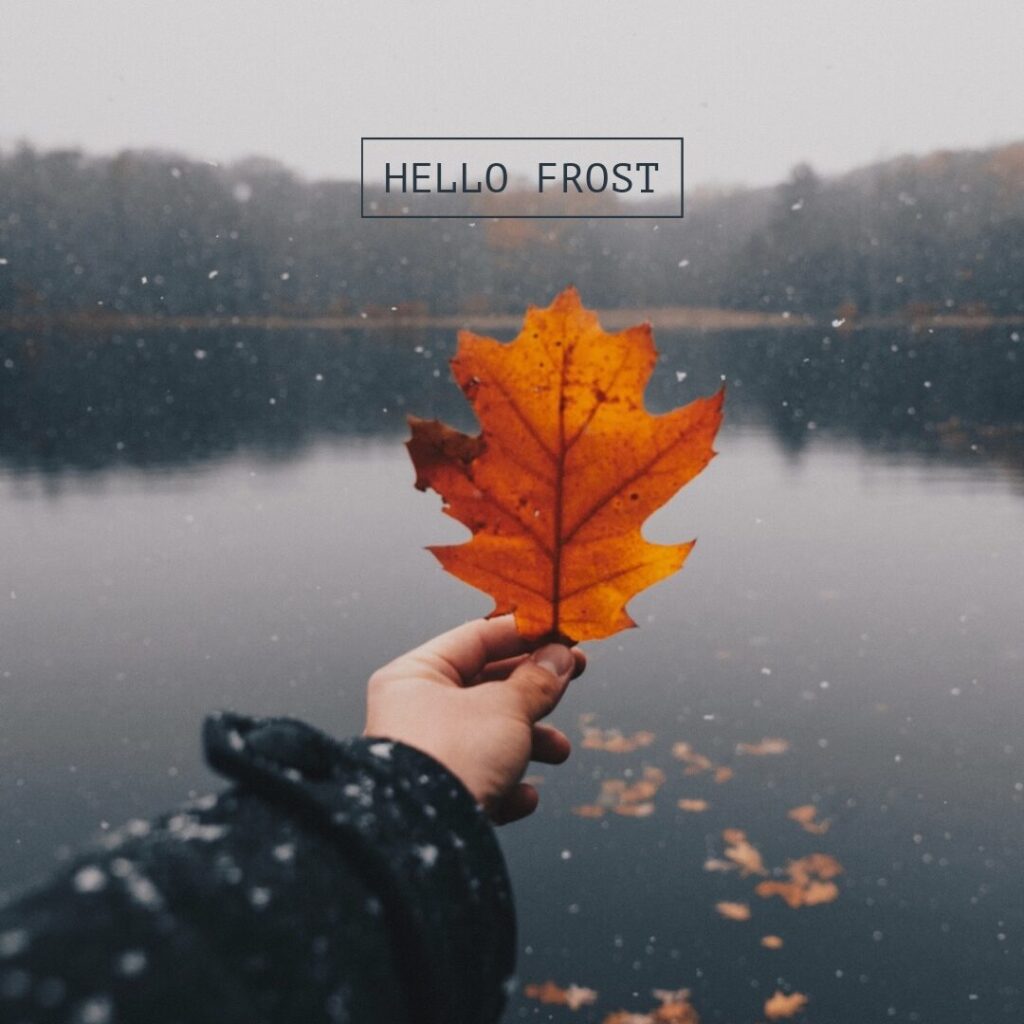 End of autumn