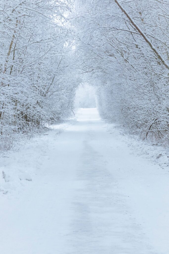 snowing road