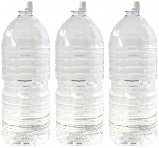 2L water bottle x 3 for a day