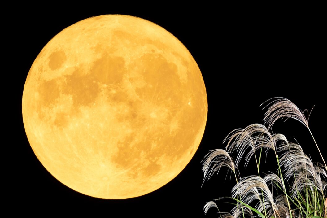 autumn moon