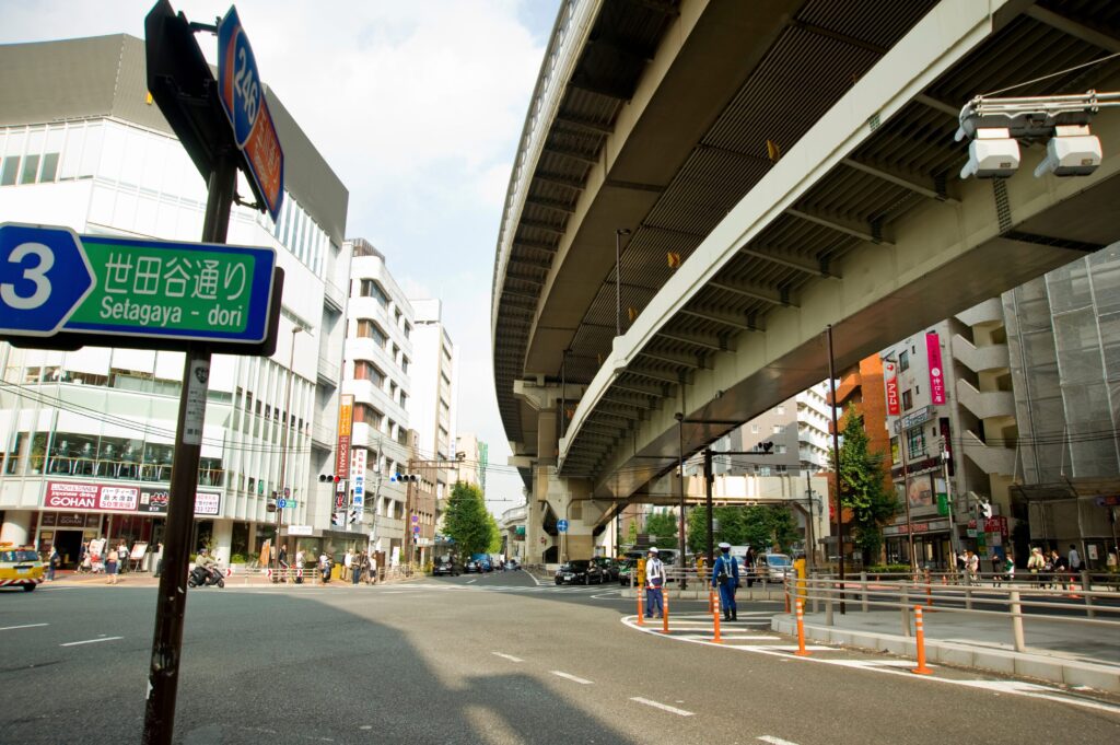 Disruption of Transportation Networks During a Direct-Hit Earthquake
